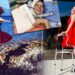 Αναστασία Τασούλα: Η κυστική ίνωση, η Έμμα και η δωρεά οργάνων