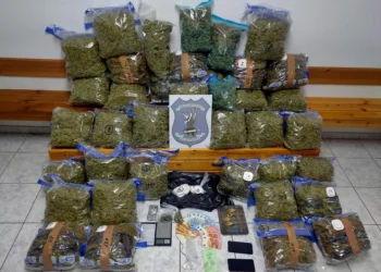 Θεσσαλονίκη: Συνελήφθη μία γυναίκα για διακίνηση, μεταφορά και κατοχή ναρκωτικών ουσιών