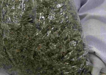 Κατασχέθηκαν 3,2 τόνοι κάνναβης που μετέφεραν ταχύπλοα, στην Κόστα Ρίκα