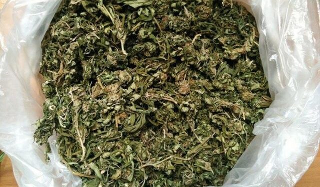 Συλλήψεις στην Αγ. Βαρβάρα για διακίνηση ναρκωτικών – Κατασχέθηκαν περισσότερα από 8 κιλά κάνναβης