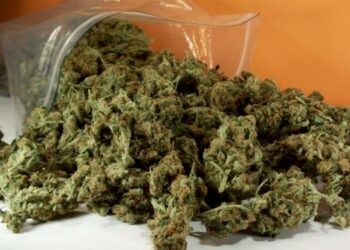 Κρήτη: Σύλληψη αλλοδαπού για ναρκωτικά στην Ιεράπετρα – Έκρυβε 360 γραμμάρια κάνναβης