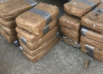 Οι βελγικές αρχές κατέσχεσαν το 2022 σχεδόν 110 τόνους κοκαΐνης στο λιμάνι της Αμβέρσας