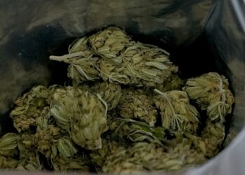 Οι ελληνικές αρχές κατέσχεσαν 14 κιλά κάνναβης με προορισμό την Κύπρο