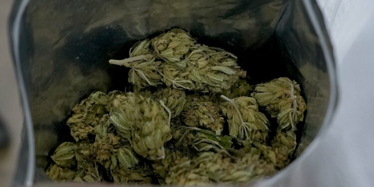 Οι ελληνικές αρχές κατέσχεσαν 14 κιλά κάνναβης με προορισμό την Κύπρο