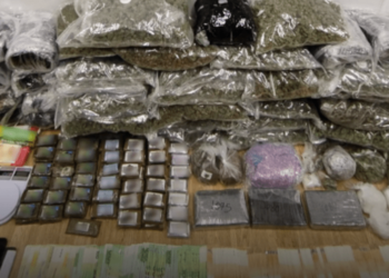 Στα χέρια της ΕΛ.ΑΣ εγκληματική οργάνωση με τεράστιες ποσότητες ναρκωτικών