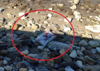 Κρήτη: Βρέθηκαν 134 κιλά χασίς, πεταμένα σε δύο παραλίες του Ρεθύμνου