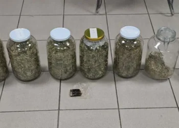 Σύλληψη ατόμου για καλλιέργεια δενδρυλλίων κάνναβης