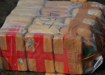 «Μπλόκο» σε 2 τόνους κοκαΐνη από την οικονομική αστυνομία της Ιταλίας