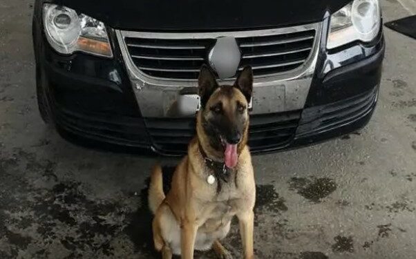 Συνελήφθη αλλοδαπός στο τελωνείο Κήπων που μετέφερε με Ι.Χ.Ε αυτοκίνητο ποσότητες κάνναβης