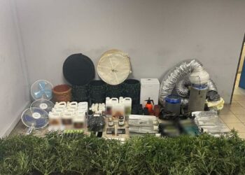 Συνελήφθη 32χρονος που καλλιεργούσε δενδρύλλια κάνναβης σε γλάστρες