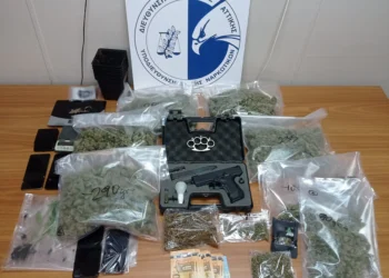 Συνελήφθησαν δύο άτομα για καλλιέργεια δενδρυλλίων κάνναβης