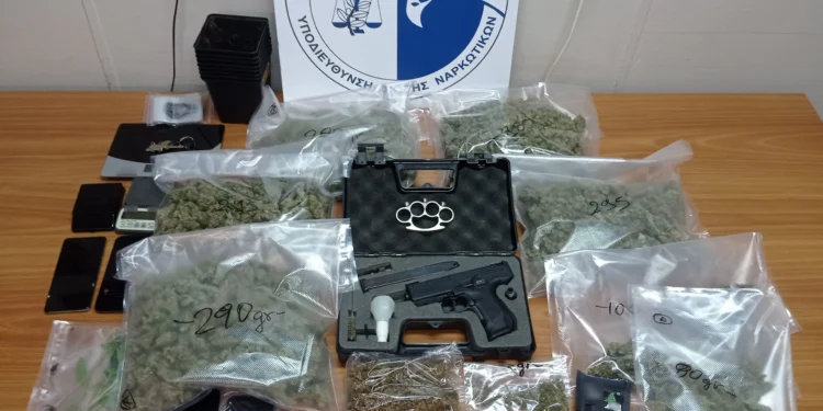 Συνελήφθησαν δύο άτομα για καλλιέργεια δενδρυλλίων κάνναβης