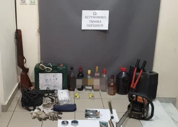 Συνελήφθη ημεδαπός για διαρρήξεις κατοικιών στο Πωγώνι Ιωαννίνων