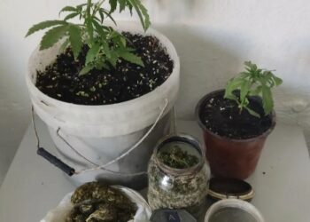 Ηράκλειο: Συνελήφθη ημεδαπός κατηγορούμενος για παραβάσεις της Νομοθεσίας περί ναρκωτικών ουσιών