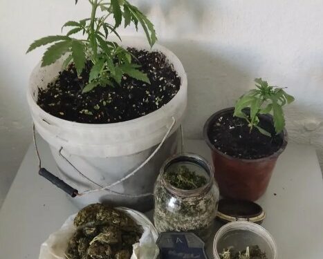 Ηράκλειο: Συνελήφθη ημεδαπός κατηγορούμενος για παραβάσεις της Νομοθεσίας περί ναρκωτικών ουσιών