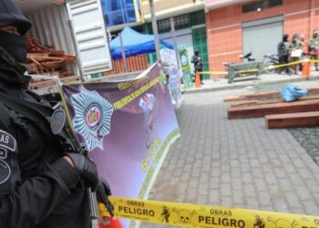 9,2 τόνοι φύλλων κόκας με προέλευση το Περού, κατασχέθηκαν στη Βολιβία