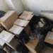 Συνελήφθη 30χρονος αλλοδαπός για παράβαση του Εθνικού Τελωνειακού Κώδικα