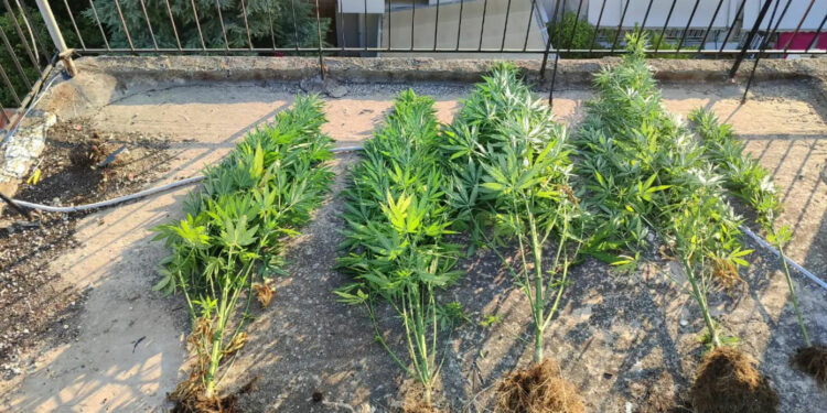 ΕΛ.ΑΣ: Εξιχνιάστηκαν 23 κλοπές μετά από επιχείρηση στο κέντρο της Αθήνας