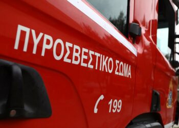 Γάτα προκάλεσε την φωτιά σε υποσταθμό της ΔΕΗ στο κέντρο της Θεσσαλονίκης