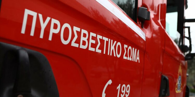 Γάτα προκάλεσε την φωτιά σε υποσταθμό της ΔΕΗ στο κέντρο της Θεσσαλονίκης