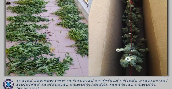 Φλώρινα: Σύστημα εσωτερικής καλλιέργειας κάνναβης είχε στήσει 54χρονος στο σπίτι του