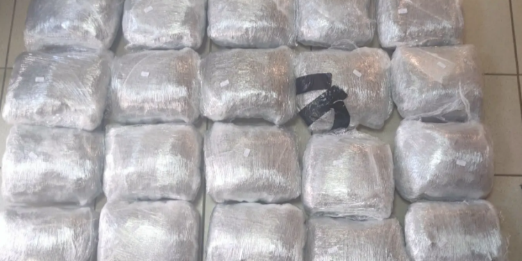 Από το Αστυνομικό Τμήμα Παιονίας συνελήφθη στη Θεσσαλονίκη ένα άτομο για διακίνηση κάνναβης