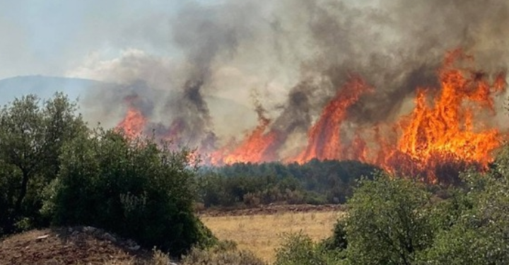 Φωτιά στη Φθιώτιδα – Συνελήφθη εμπρηστής στην Κοζάνη