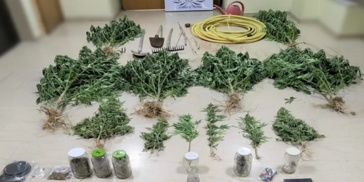 Ροδόπη: Συνελήφθησαν 2 ημεδαποί κατηγορούμενοι για παραβάσεις των νόμων περί ναρκωτικών και περί όπλων