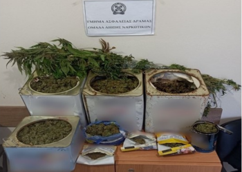 Δράμα: Συνελήφθη ημεδαπός κατηγορούμενος για διακίνηση ναρκωτικών