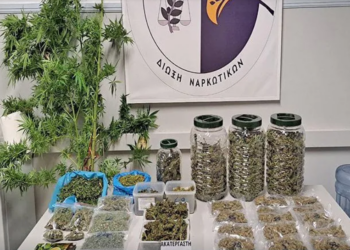 Σύλληψη δύο ατόμων για ναρκωτικά σε Καβάλα και Έβρο