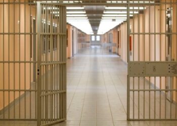 Ξανά ισόβια κάθειρξη στον 50χρονο για τη δολοφονία του κτηνοτρόφου Δημ. Γραικού