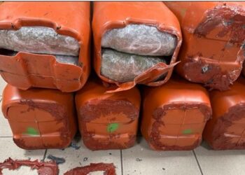 Εισήγαγαν κάνναβη από τη Βόρεια Μακεδονία και τη διακινούσαν στην Ελλάδα