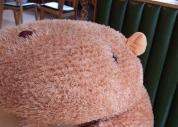 Ελεύθερη η 26χρονη που παρακολουθούσε τον πρώην σύζυγό της μέσω… λούτρινου