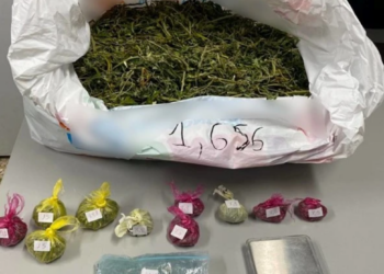 Καβάλα: Συνελήφθη ημεδαπός για καλλιέργεια και διακίνηση ναρκωτικών