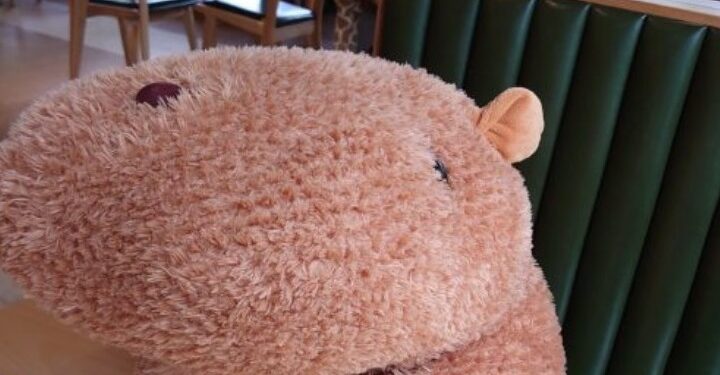 Ελεύθερη η 26χρονη που παρακολουθούσε τον πρώην σύζυγό της μέσω… λούτρινου