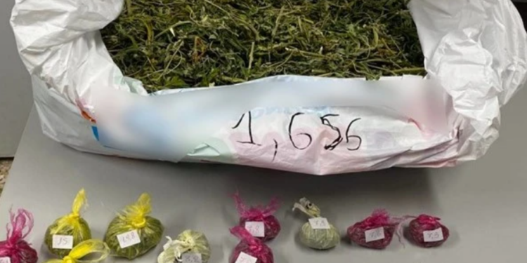 Καβάλα: Συνελήφθη ημεδαπός για καλλιέργεια και διακίνηση ναρκωτικών