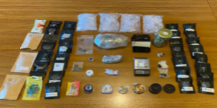 Συνελήφθη 26χρονος ημεδαπός στην Κοζάνη για διακίνηση ναρκωτικών ουσιών