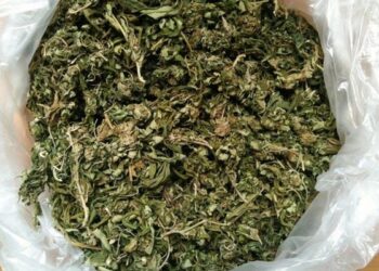 ΑΜΘ: Συνελήφθησαν δεκαέξι άτομα για κατοχή ναρκωτικών