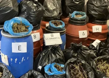 Βρήκαν 48 κιλά κάνναβης σε βαρέλια και σακούλες σε οικόπεδο στην Τροιζήνα