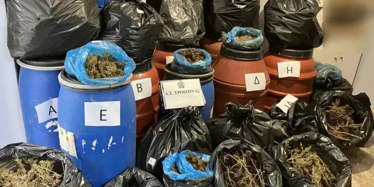 Βρήκαν 48 κιλά κάνναβης σε βαρέλια και σακούλες σε οικόπεδο στην Τροιζήνα