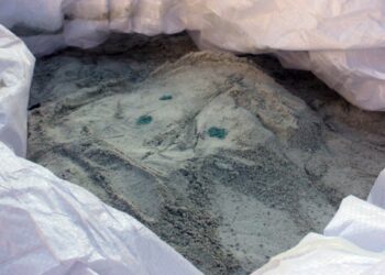 Βολιβία: Κατασχέθηκαν 7,2 τόνοι κοκαΐνης – Η 2η μεγαλύτερη ποσότητα στην ιστορία