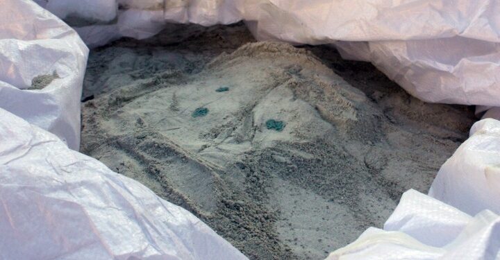 Βολιβία: Κατασχέθηκαν 7,2 τόνοι κοκαΐνης – Η 2η μεγαλύτερη ποσότητα στην ιστορία