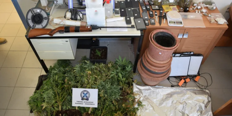 Αρτέμιδα: Συνελήφθη 50χρονος που καλλιεργούσε δενδρύλλια κάνναβης στο σπίτι του
