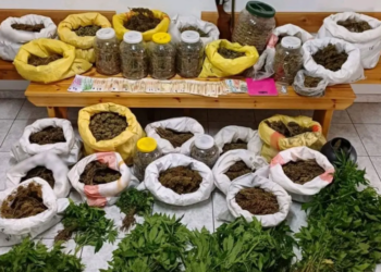 Χαλκιδική: Κατασχέθηκαν περισσότερα από 11 κιλά ακατέργαστης κάνναβης