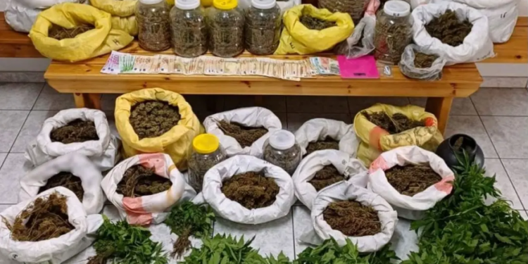 Χαλκιδική: Κατασχέθηκαν περισσότερα από 11 κιλά ακατέργαστης κάνναβης