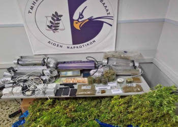 Καβάλα: Συνελήφθη αλλοδαπός κατηγορούμενος για καλλιέργεια κάνναβης