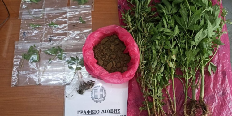 ΑΜΘ: Συνελήφθησαν έντεκα άτομα για κατοχή ναρκωτικών