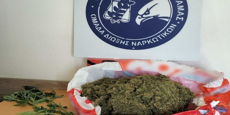 Δράμα: Συνελήφθη ημεδαπός για καλλιέργεια ναρκωτικών