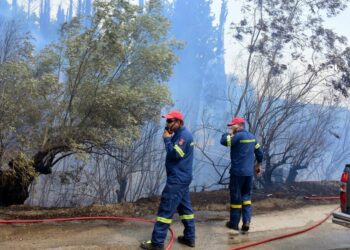 Συνελήφθη 30χρονος για την πυρκαγιά στη Νιγρίτα Σερρών