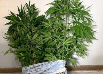 ΑΜΘ: Συνελήφθησαν οκτώ άτομα για κατοχή ναρκωτικών